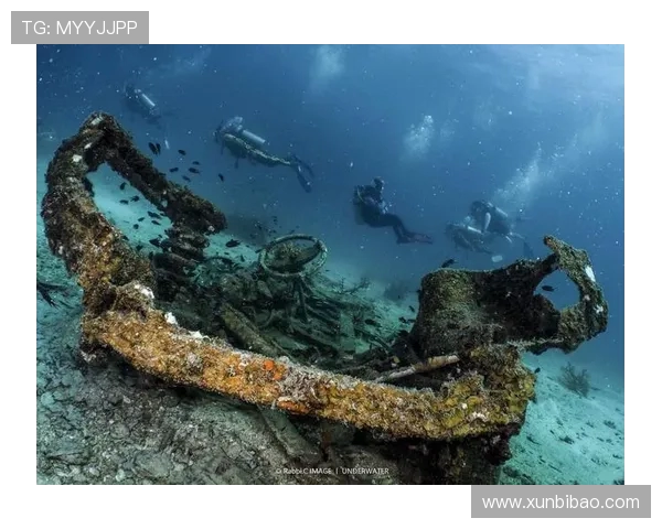 加莱诺的艺术魅力与文化影响力探讨：从历史到现代的深度解析