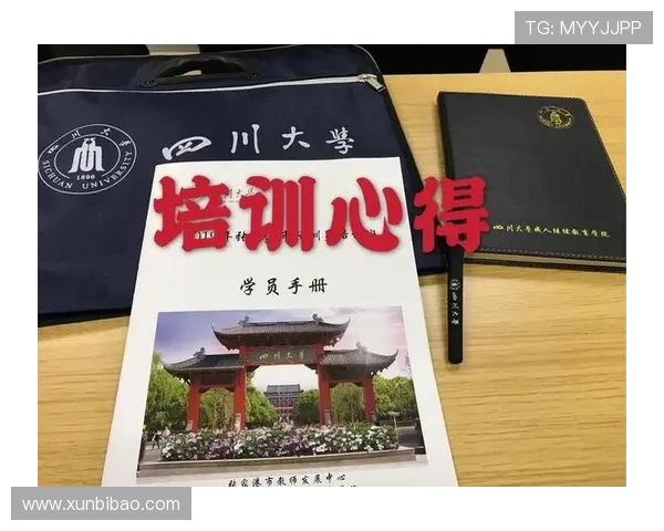 武汉攀岩队运营分析：成功经验与面临挑战的深度探讨